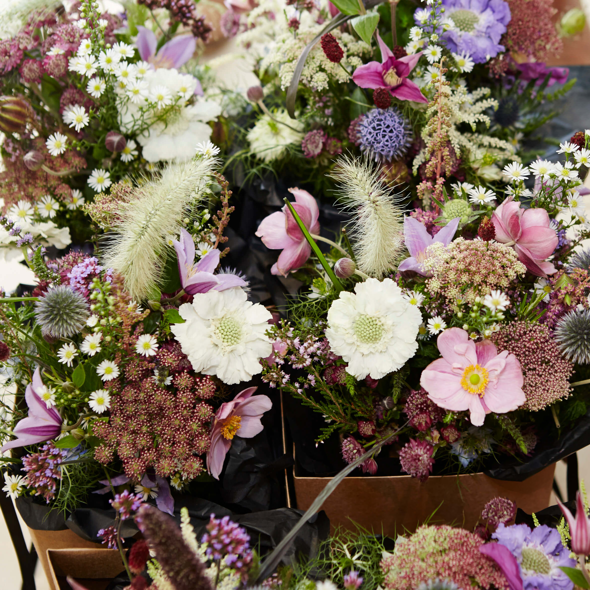 Sustainable creations