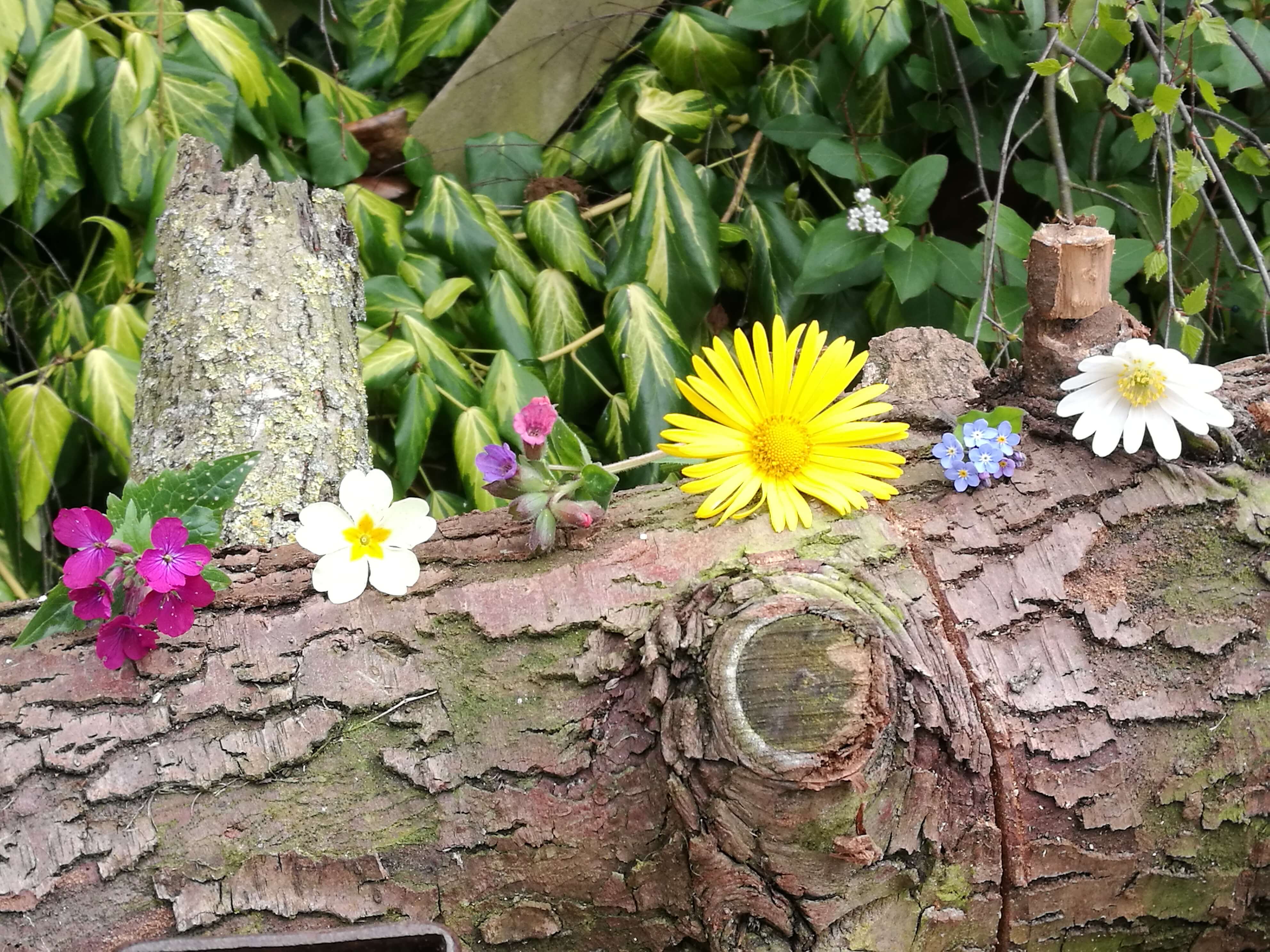 Sustainable creations