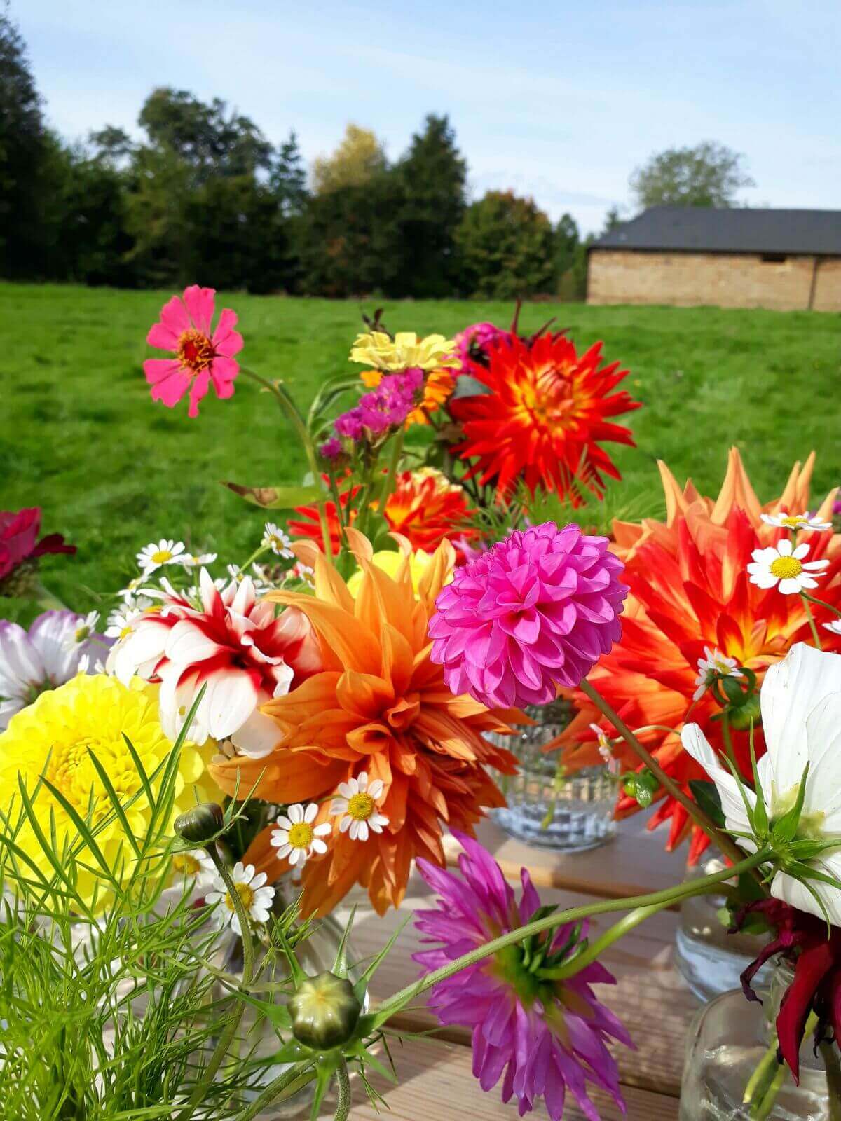 Childrens sunday workshop